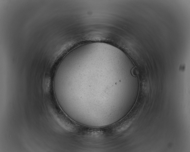 X0000089920304200707061024