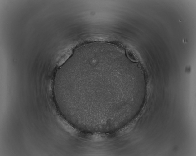 X0000089920305200707061024
