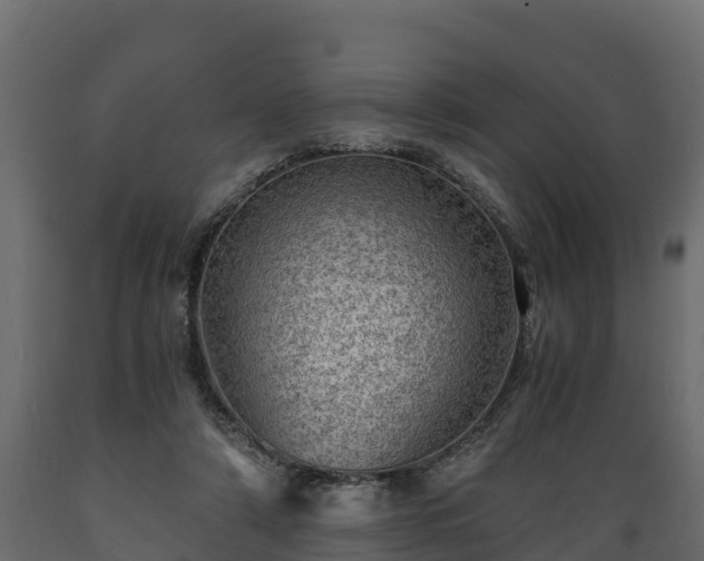 X0000089920306200707061024