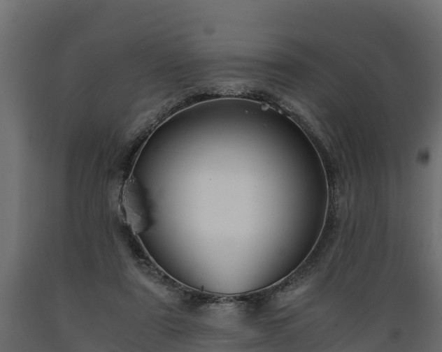 X0000089920307200707061024