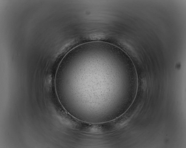 X0000089920308200707061024