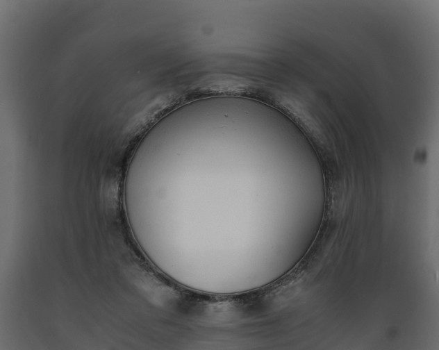 X0000089920309200707061024