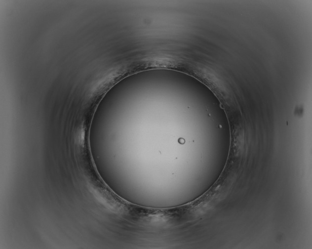 X0000089920310200707061024