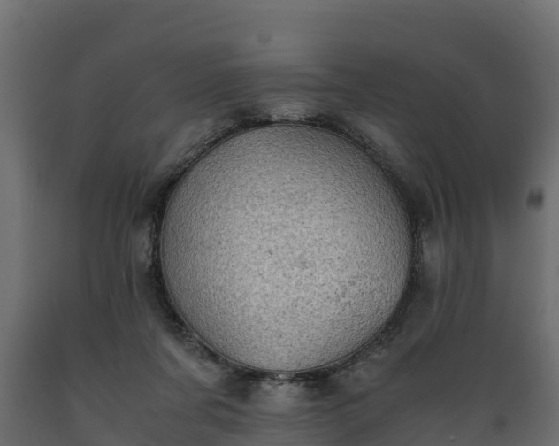 X0000089920311200707061024