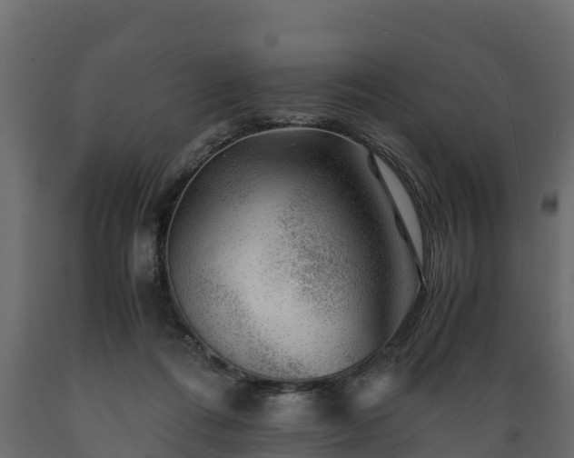 X0000089920312200707061024