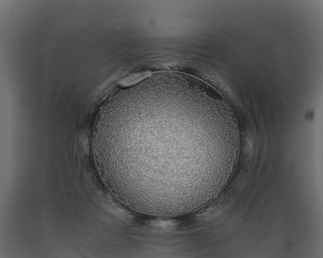 X0000089920313200707061024