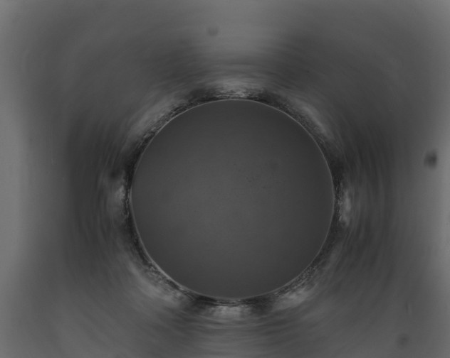 X0000089920314200707061024