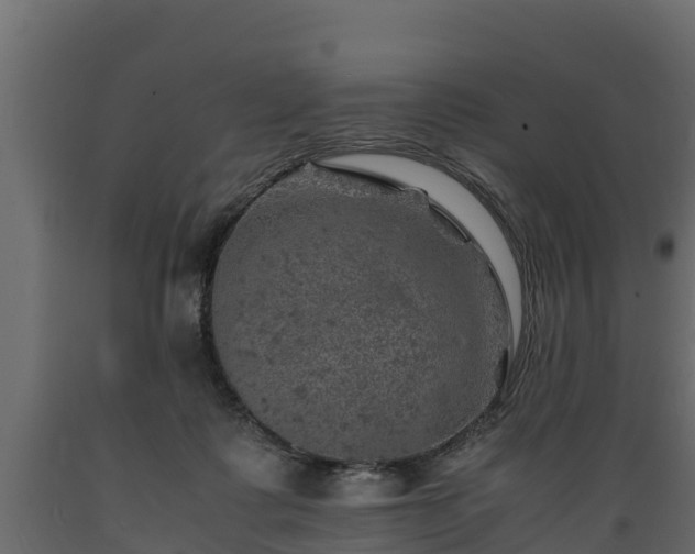 X0000089920315200707061024