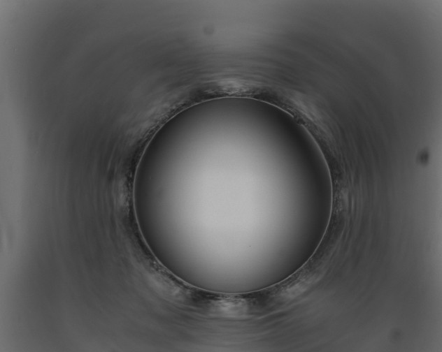X0000089920317200707061024