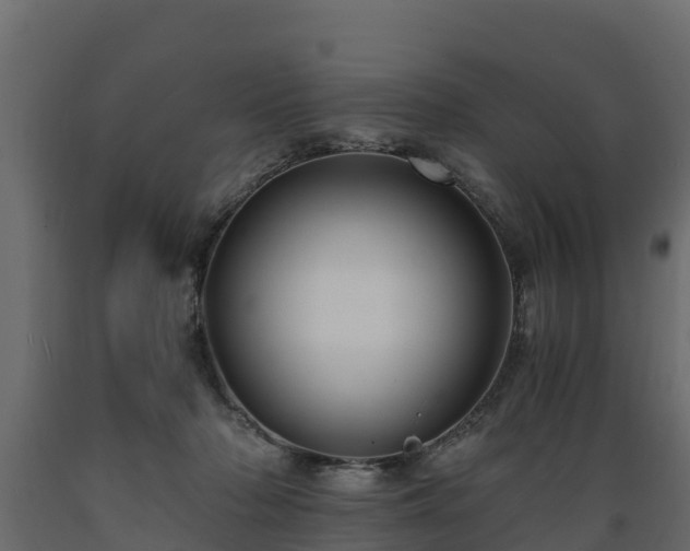 X0000089920318200707061024