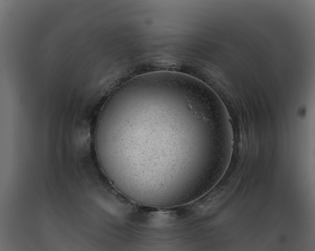 X0000089920320200707061024