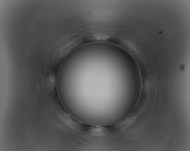 X0000089920321200707061024