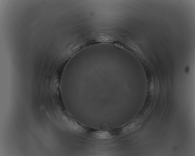X0000089920322200707061024