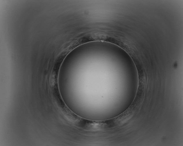 X0000089920323200707061024