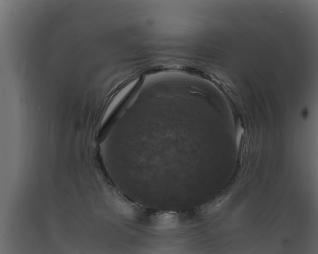 X0000089920325200707061024