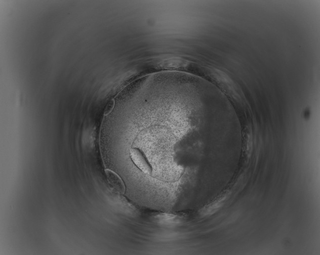 X0000089920326200707061024