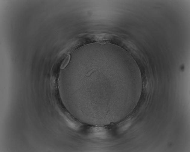 X0000089920327200707061024