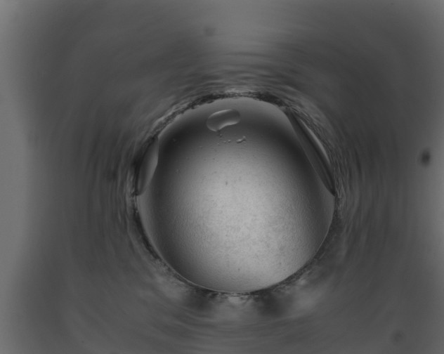 X0000089920329200707061024