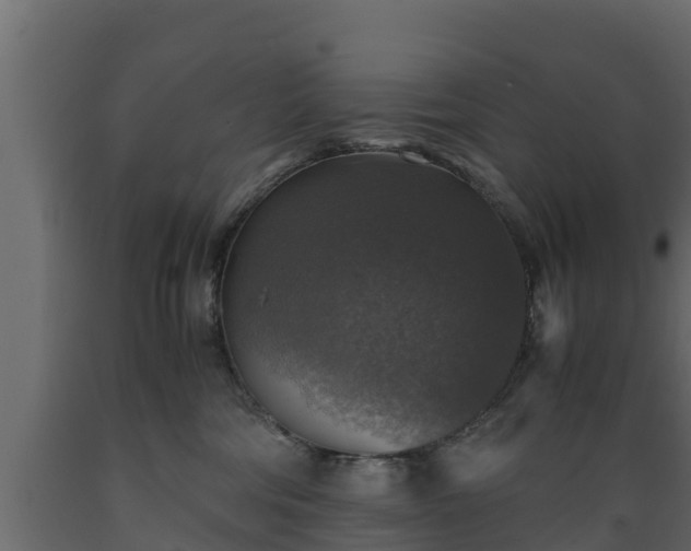 X0000089920330200707061024