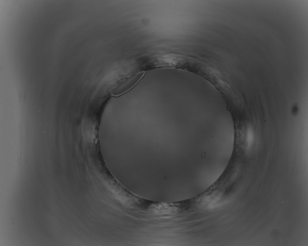 X0000089920331200707061024