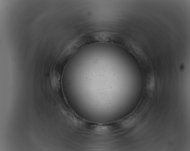 X0000089920332200707061024