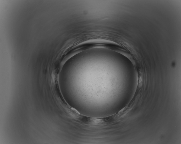X0000089920333200707061024