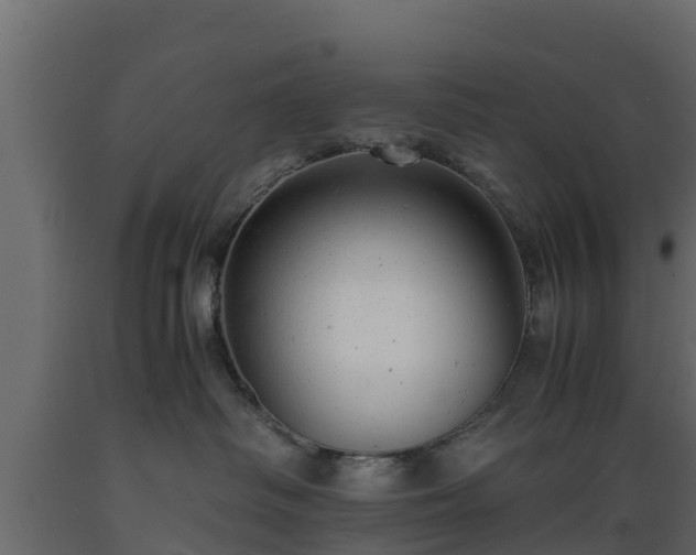 X0000089920334200707061024
