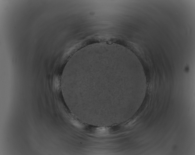 X0000089920335200707061024