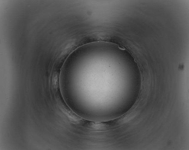 X0000089920336200707061024