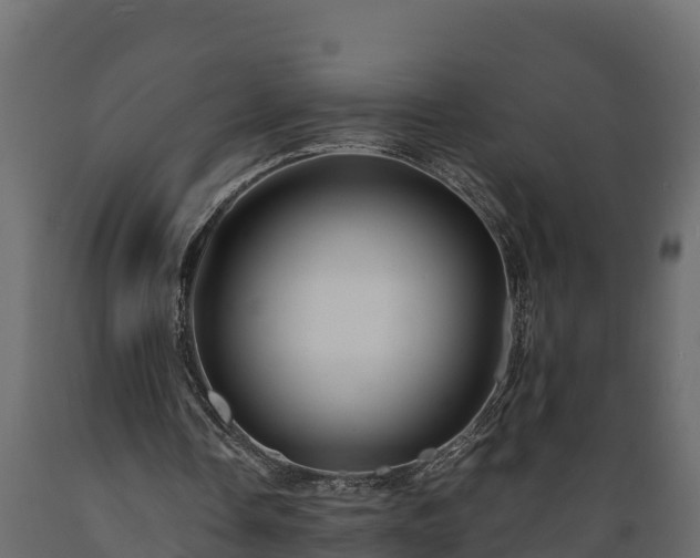 X0000089920338200707061023
