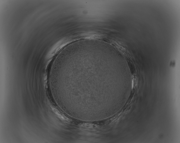 X0000089920339200707061023