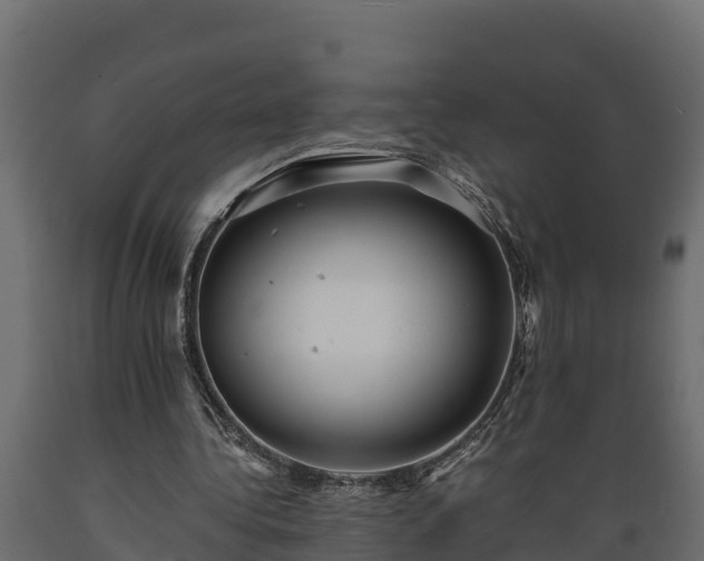 X0000089920340200707061023