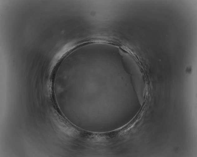 X0000089920343200707061023