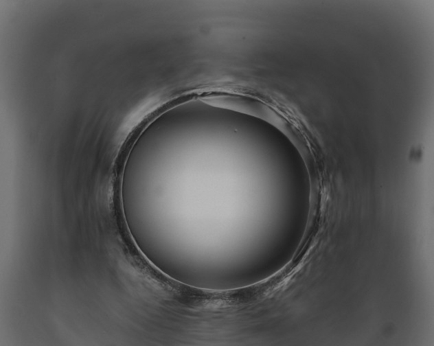 X0000089920344200707061023