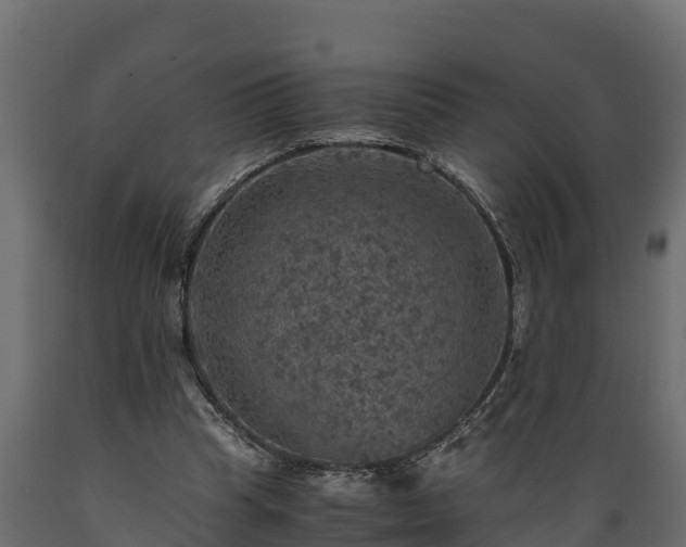 X0000089920345200707061023