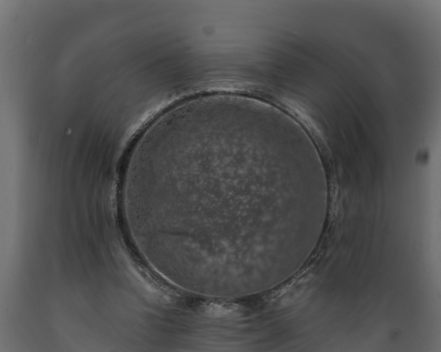 X0000089920346200707061023