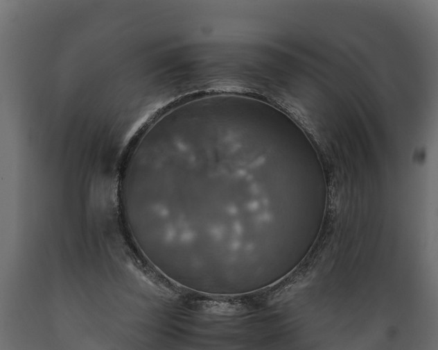 X0000089920347200707061023