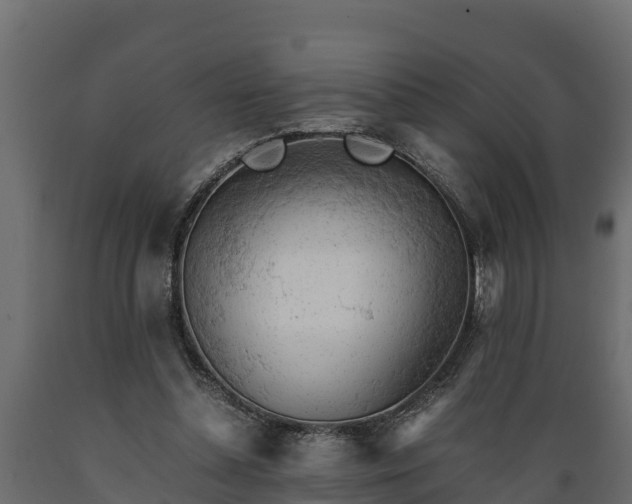 X0000089920348200707061023