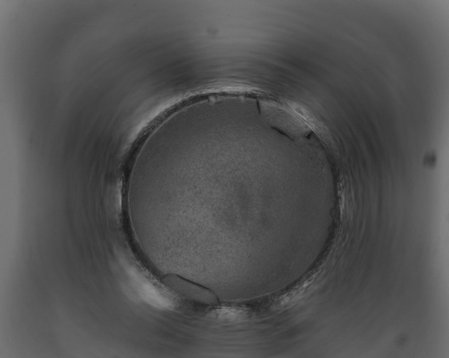 X0000089920350200707061023