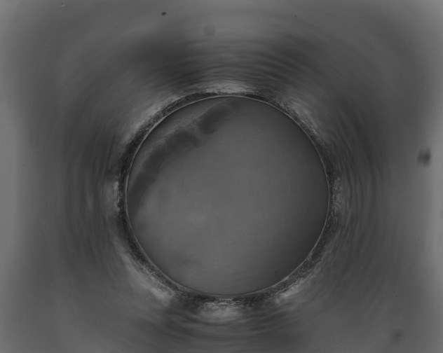 X0000089920351200707061023