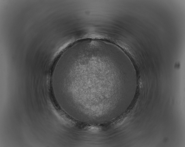 X0000089920352200707061023