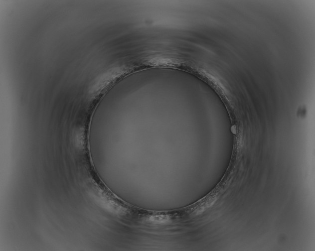 X0000089920353200707061023