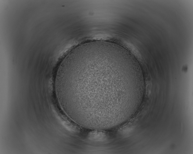 X0000089920354200707061023