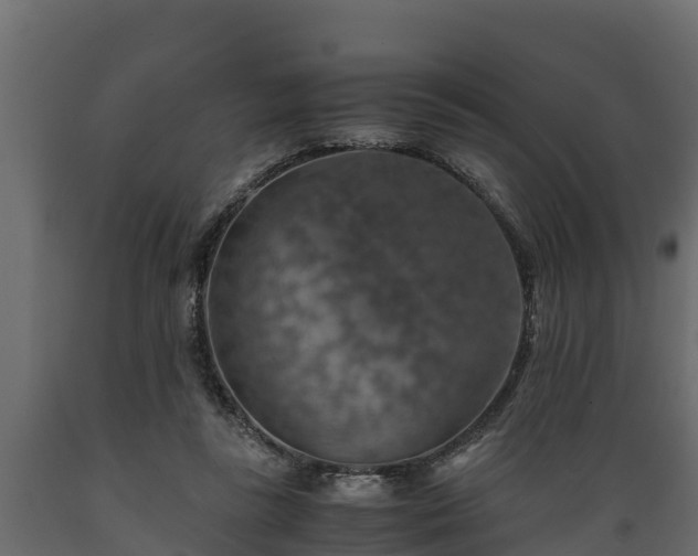 X0000089920355200707061023