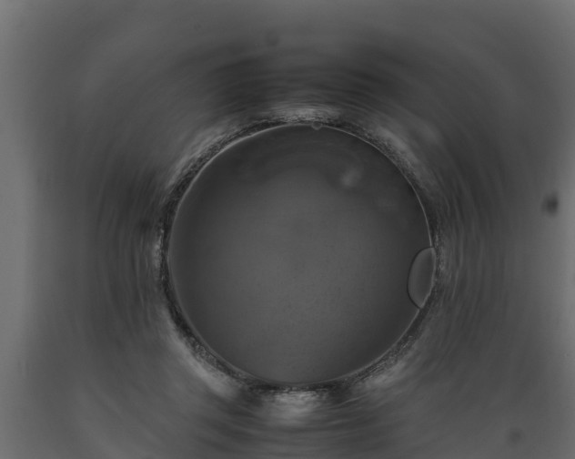 X0000089920357200707061023