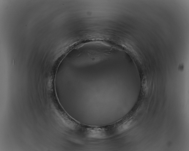 X0000089920359200707061024