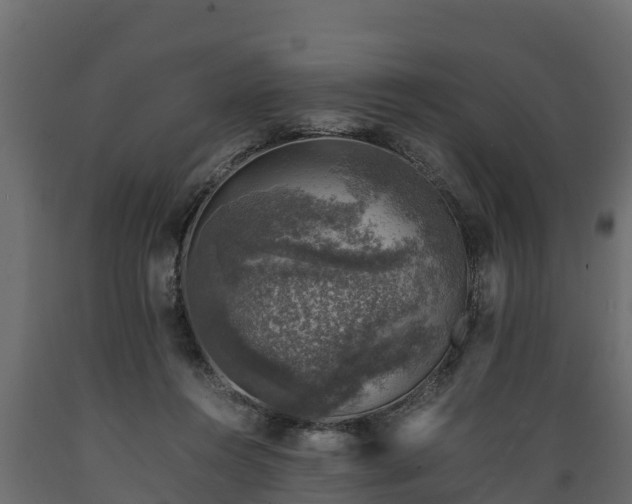 X0000089920360200707061024
