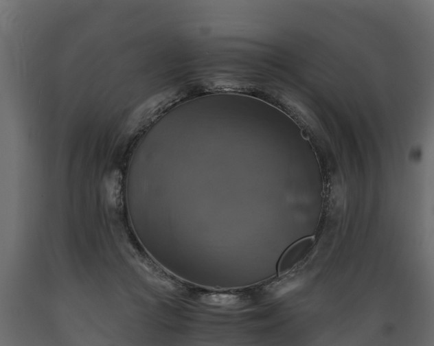 X0000089920361200707061024
