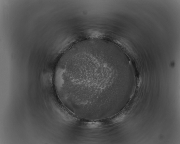 X0000089920363200707061024