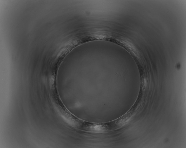 X0000089920365200707061024